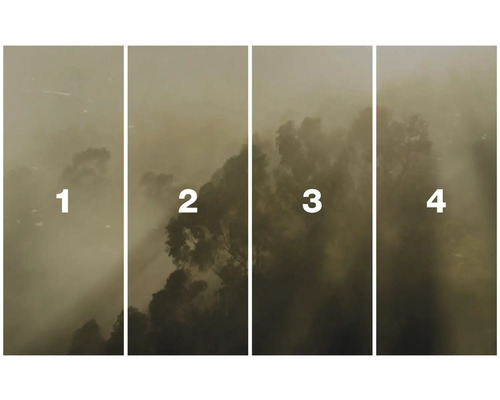 Vierteiliges Bild der Natur mit Bäumen und Nebel
