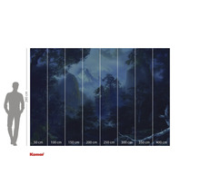 Komar Fototapete mit Waldlandschaft und Größenangaben.