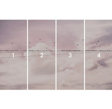 Illustration mit vier Bildern mit Vögeln auf einer Stromleitung vor einem bewölkten Himmel