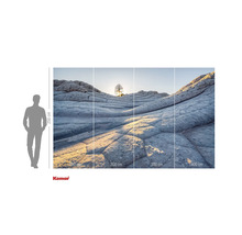 Fototapete mit Felsformationen und Baum