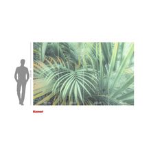 Komar Fototapete mit Palmenblättern, 400 cm breit und 250 cm hoch