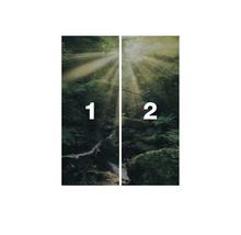 Wald Fototapete, zweiteilig