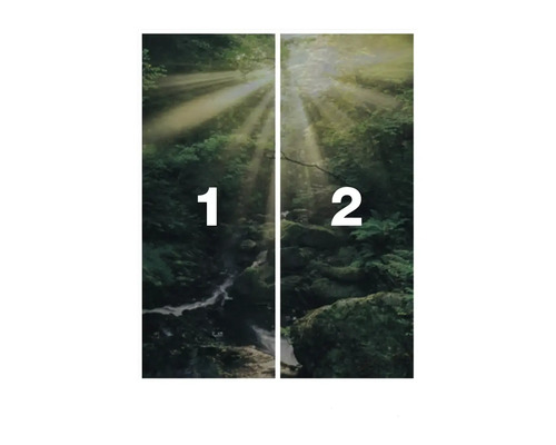 Wald Fototapete, zweiteilig