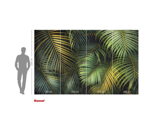 Fototapete mit einem Motiv von Palmenblättern