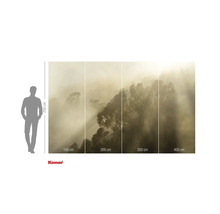 Fototapete mit Waldmotiv im Nebel und Größenangaben