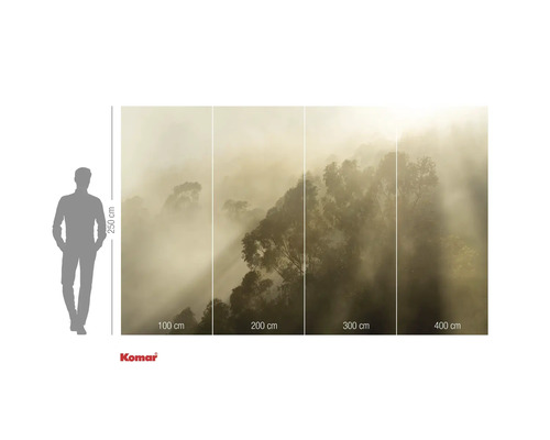 Fototapete mit Waldmotiv im Nebel und Größenangaben