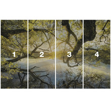 Vierteilige Fototapete mit Baummotiv