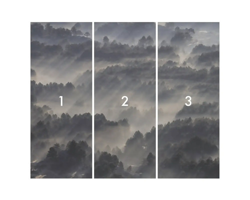 Fototapete bestehend aus drei Teilen mit Waldmotiv im Nebel