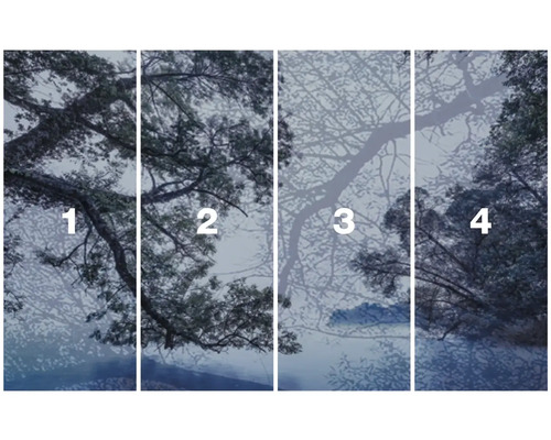 Vierteilige Wald Fototapete