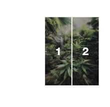 Wandbild mit Wasserfall und grünen Pflanzen