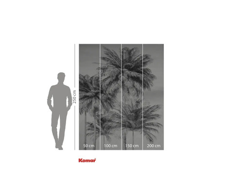Fototapete mit Palmenmotiv und Maßangaben