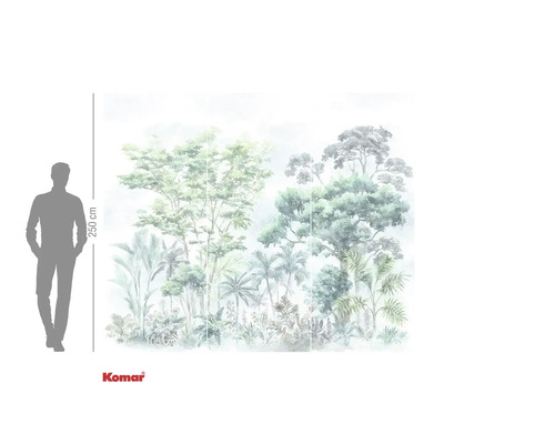 Komar Fototapete mit Dschungelmotiv und Größenangabe