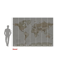 Weltkarte als Fototapete mit Maßangaben