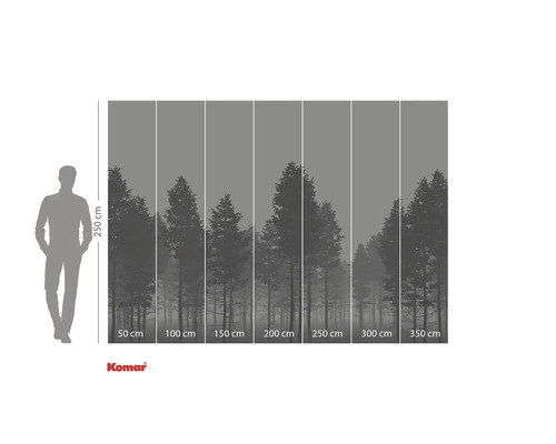 Fototapete mit Waldmotiv und Größenangaben.