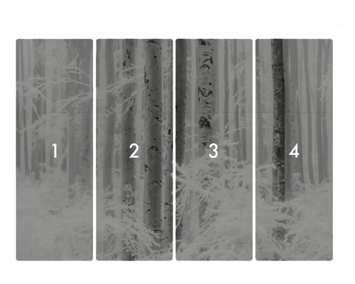 Vierteilige Waldtapete mit Baummotiven