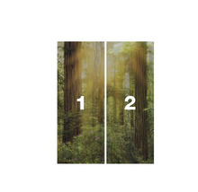 Wald Fototapete, zweiteilig