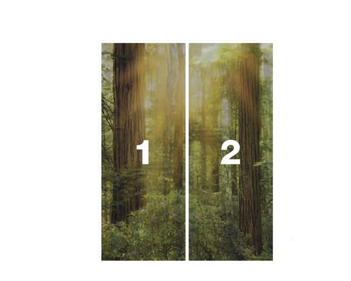Wald Fototapete, zweiteilig