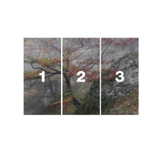 Dekoratives Wandbild mit Herbstwaldmotiv, dreiteilig