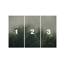 Dreiteiliges Wandbild mit Waldmotiv und Nebel