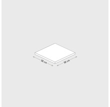 Illustration einer 50 Zentimeter Fliese