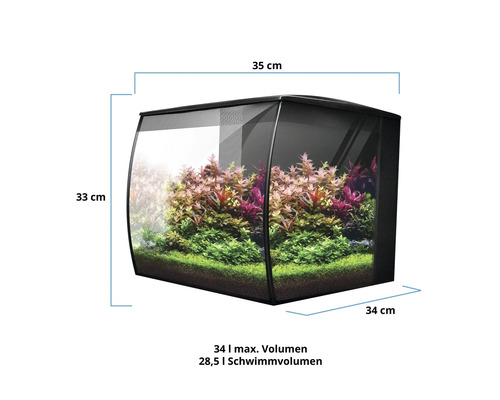 Aquarium mit Pflanzen, Maße 35 x 33 x 34 Zentimeter, maximales Volumen 34 Liter