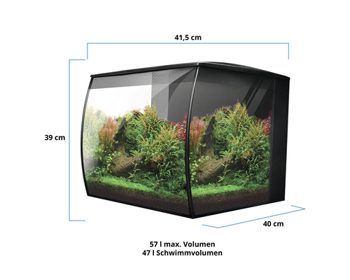 Aquarium mit Bepflanzung und Maßangaben