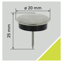 Nagelgleiter mit den Maßen Durchmesser 20 Millimeter und Länge 25 Millimeter