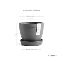 Ecopots Antwerp Mini 11 Blumentopf mit Untersetzer. Höhe 10,1 Zentimeter, Außendurchmesser 11,5 Zentimeter, Volumen 0,6 Liter. Ecopots Logo.