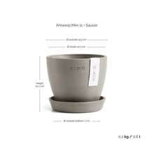 Ecopots Antwerp Mini 11 Pflanztopf mit Untersetzer, Höhe 10,1 Zentimeter, Durchmesser 11,5 Zentimeter.