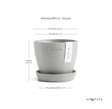 Ecopots Antwerp Mini Pflanztopf mit Untersetzer, Höhe 10,1 Zentimeter, Außendurchmesser 11,5 Zentimeter, Innendurchmesser 10,1 Zentimeter.