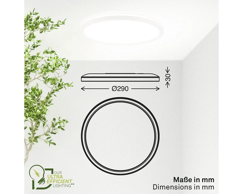 Abmessungen einer runden Deckenleuchte mit einem Durchmesser von 290 Millimetern und einer Höhe von 30 Millimetern