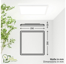 Abmessungen einer LED-Deckenleuchte mit den Maßen 290 x 290 x 30 Millimeter