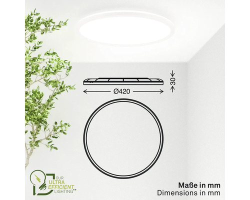 Skizze einer runden Deckenleuchte mit Maßangaben in Millimetern