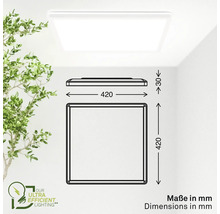 Quadratische LED Deckenleuchte mit Maßangaben in Millimeter