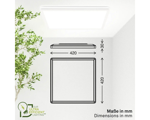 Quadratische LED Deckenleuchte mit Maßangaben in Millimeter