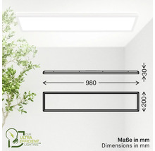 Abbildung der Abmessungen einer LED-Panel Leuchte von 980 mm Länge, 200 mm Breite und 30 mm Höhe.