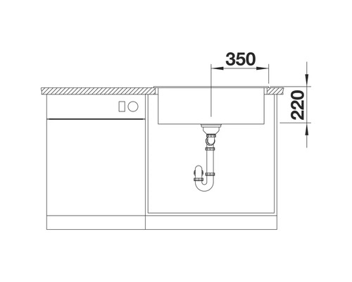 Skizze einer Spüle mit den Maßen 350 mal 220 Millimeter.