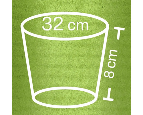 Illustration eines Pflanzgefäßes mit Maßangaben: 32 cm Durchmesser oben, 8 cm Höhe