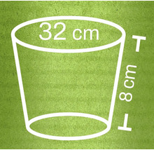 Pflanztopf Dimensionen: Durchmesser oben 32 cm, Höhe 8 cm