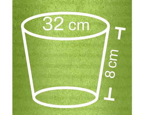 Pflanztopf Dimensionen: Durchmesser oben 32 cm, Höhe 8 cm