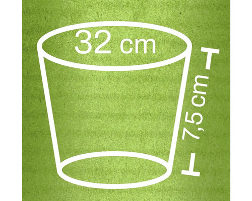 Skizze eines Pflanzgefäßes mit den Maßen 32 Zentimeter Durchmesser und 7,5 Zentimeter Höhe
