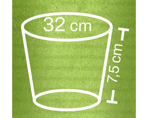 Illustration eines Pflanzgefäßes mit den Maßen 32 Zentimeter Durchmesser und 7,5 Zentimeter Höhe