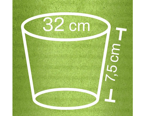 Pflanzgefäß Dimensionen: 32 Zentimeter Durchmesser, 7,5 Zentimeter Höhe