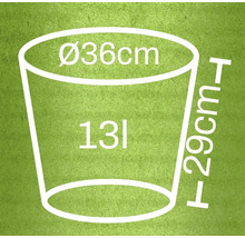 Abmessungen eines Pflanzgefäßes: Durchmesser 36 Zentimeter, Höhe 29 Zentimeter, Volumen 13 Liter