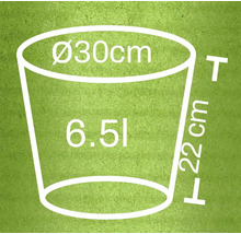 Skizze eines Blumentopfes mit den Maßen Durchmesser 30 Zentimeter, Höhe 22 Zentimeter und Volumen 6,5 Liter