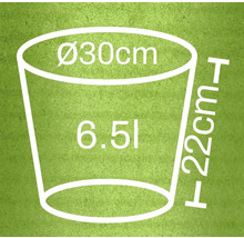 Skizze eines Pflanzgefäßes mit den Maßen 30 Zentimeter Durchmesser, 22 Zentimeter Höhe und 6,5 Liter Volumen