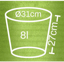 Abbildung mit Maßangaben: Durchmesser 31 Zentimeter, Höhe 27 Zentimeter, Volumen 8 Liter