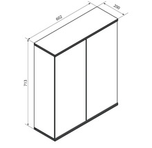 Maßskizze für einen zweitürigen Schrank mit den Maßen 602 Millimeter Breite, 713 Millimeter Höhe und 200 Millimeter Tiefe.
