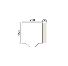 Technische Zeichnung eines quadratischen Elements mit Maßen von 250 mal 250 Millimetern und einer zusätzlichen Breite von 50 Millimetern.
