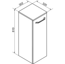Maßzeichnung für einen Badschrank mit einer Tür und einem Griff, Höhe 810 Millimeter, Breite 320 Millimeter und Tiefe 302 Millimeter.